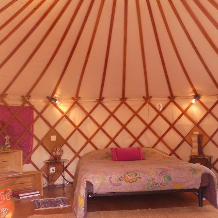 Les Yourtes D'Hotes Plouguiel Zewnętrze zdjęcie